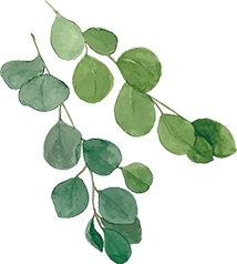 伐採 強剪定作業