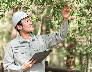 森田植木について
